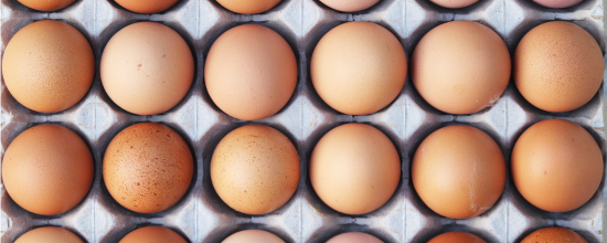 Bijna dood Gelach compleet Zeven eieren per week: is dat gezond?